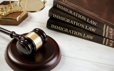 Your Questions About ICE Raids Answered as a Nanny Employer