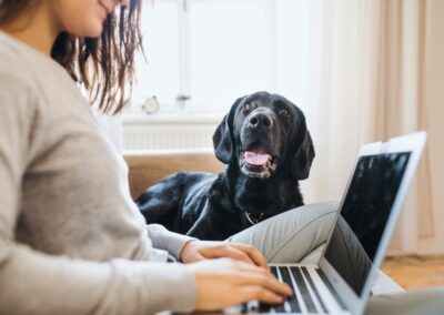 PART-TIME POSITION:  Wonderful Return Clients Seeking Incredible Family Assistant in Beverly Hills!