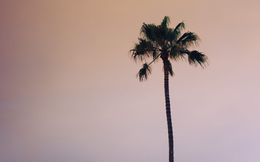 robson-hatsukami-morgan-280190-unsplash
